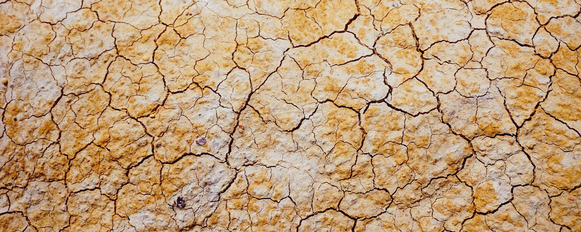 Nattvardsgudstjänst